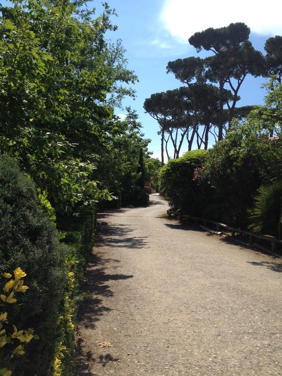 Camping Paradiso Viareggio Eksteriør bilde