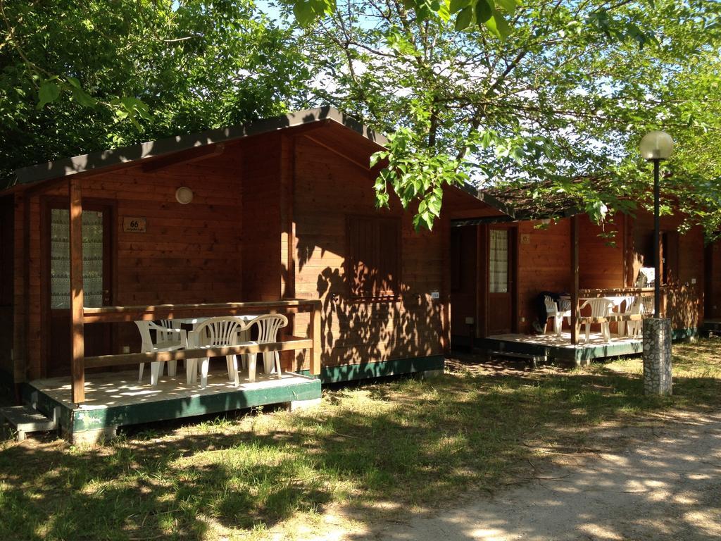 Camping Paradiso Viareggio Rom bilde
