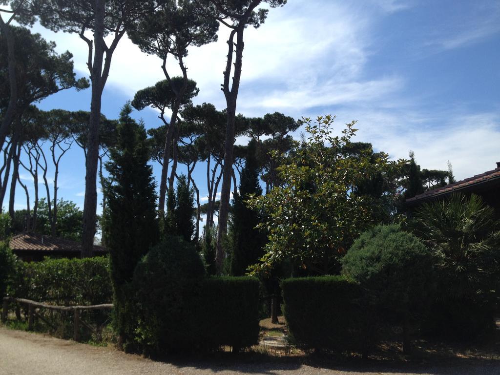 Camping Paradiso Viareggio Eksteriør bilde