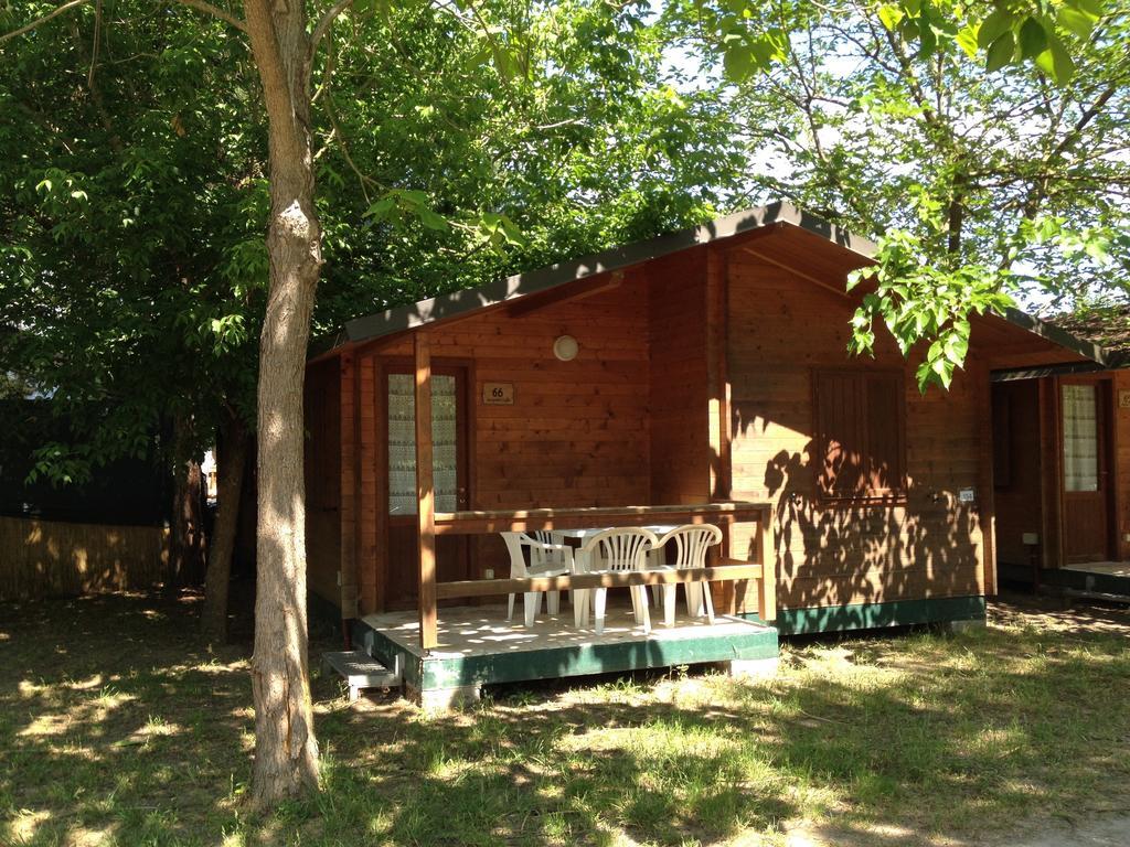 Camping Paradiso Viareggio Rom bilde