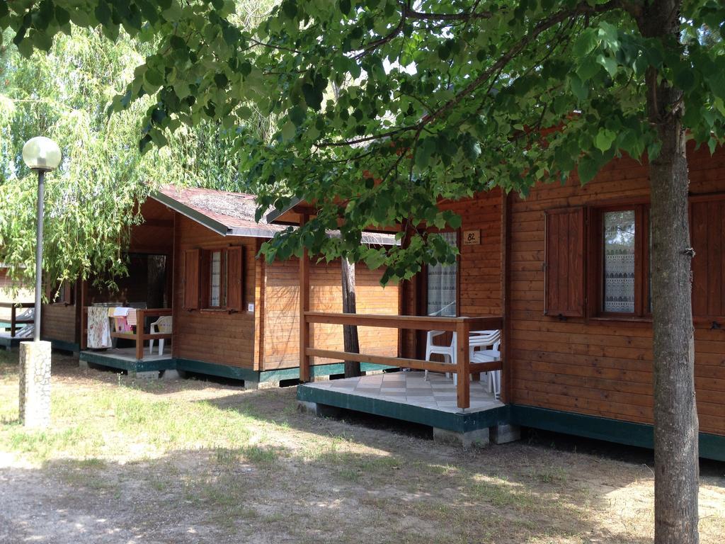 Camping Paradiso Viareggio Rom bilde