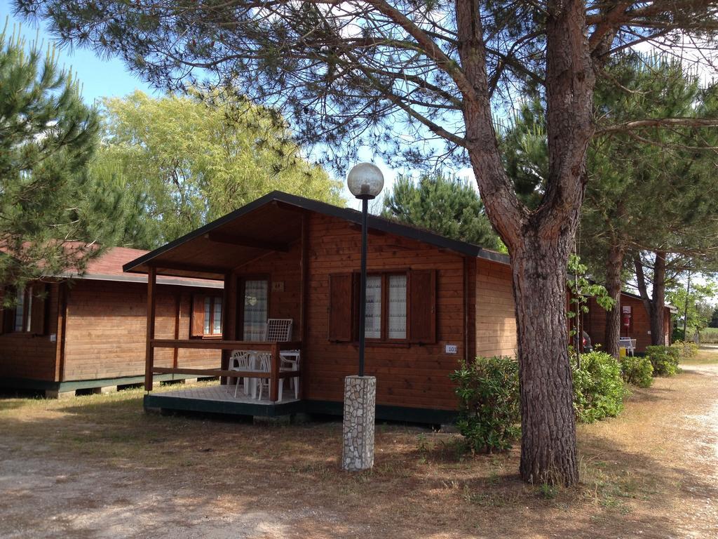 Camping Paradiso Viareggio Rom bilde