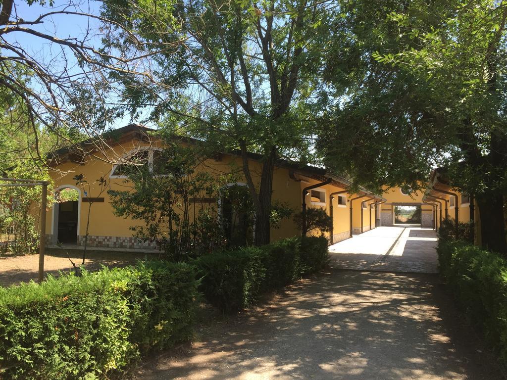 Camping Paradiso Viareggio Eksteriør bilde