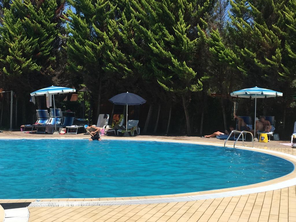 Camping Paradiso Viareggio Eksteriør bilde