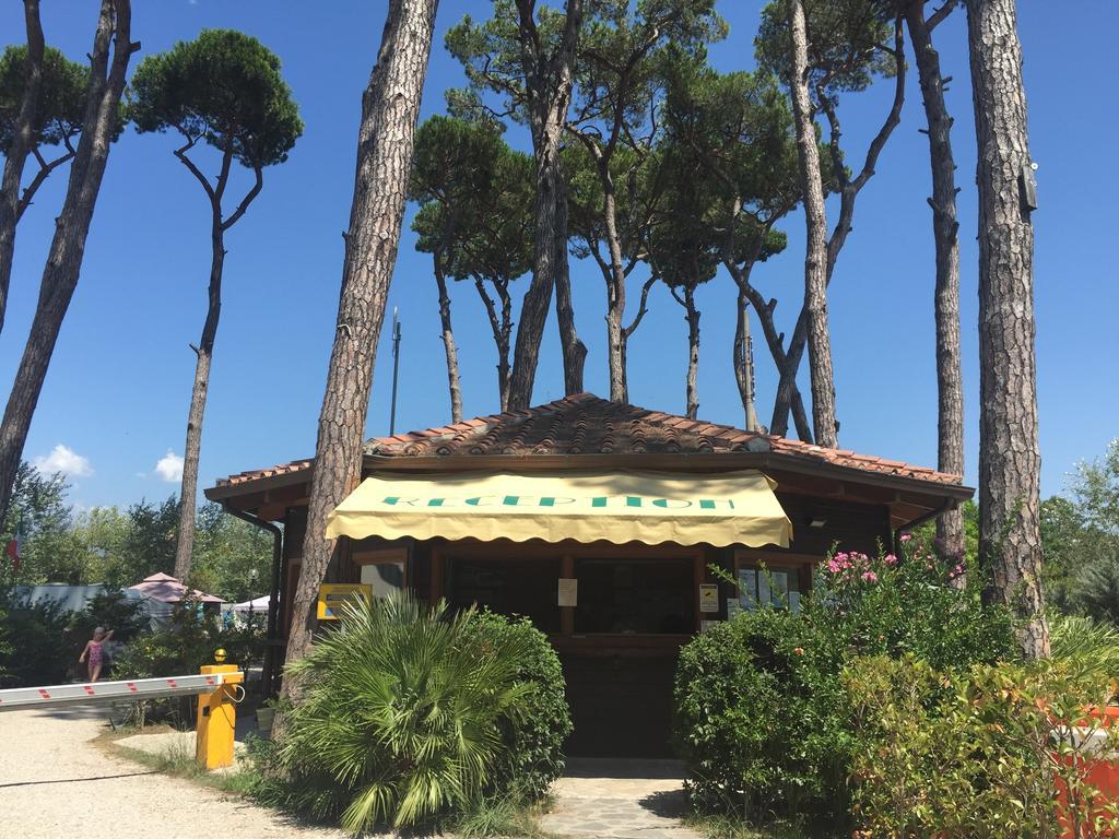 Camping Paradiso Viareggio Eksteriør bilde