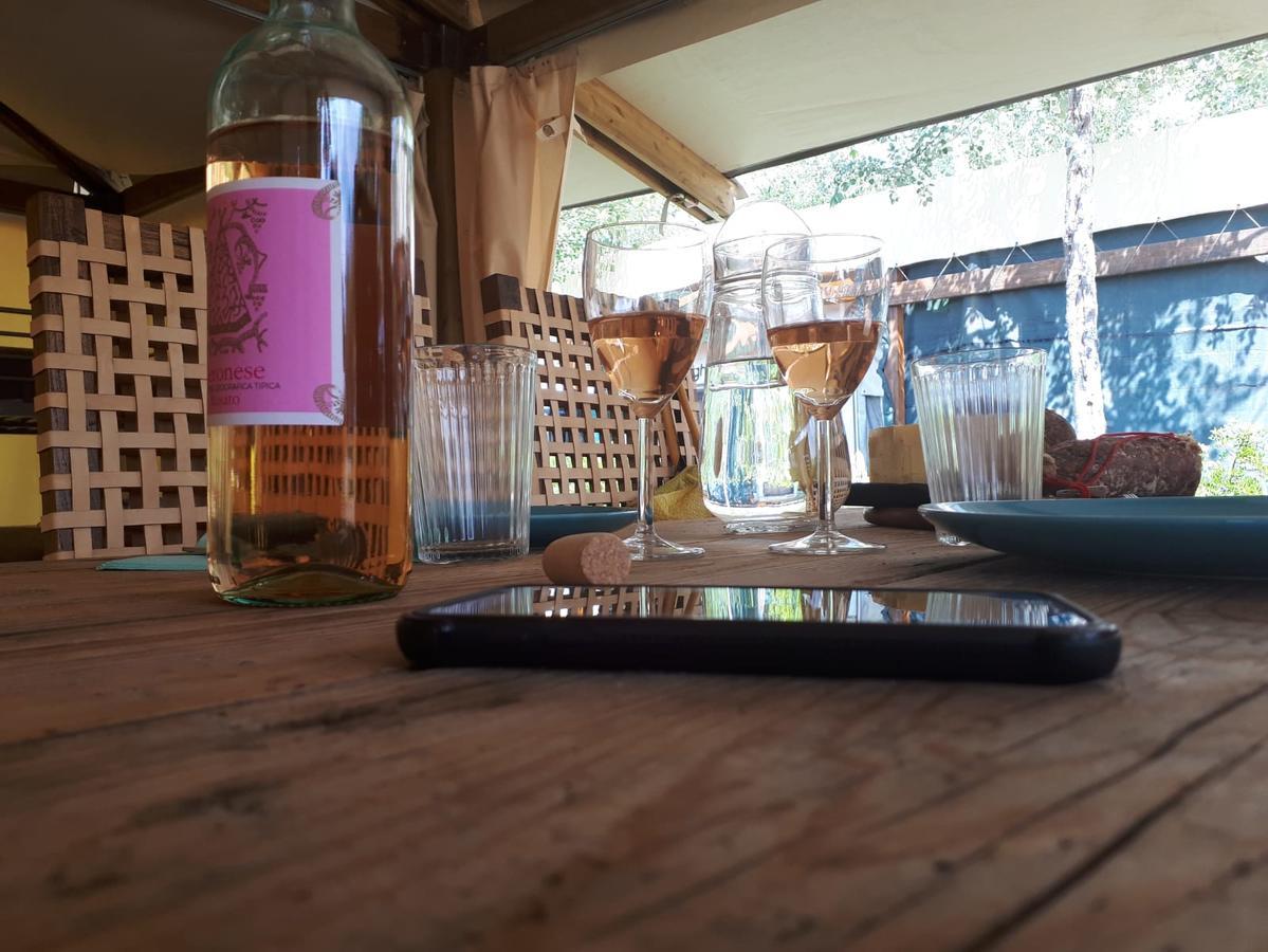 Camping Paradiso Viareggio Eksteriør bilde