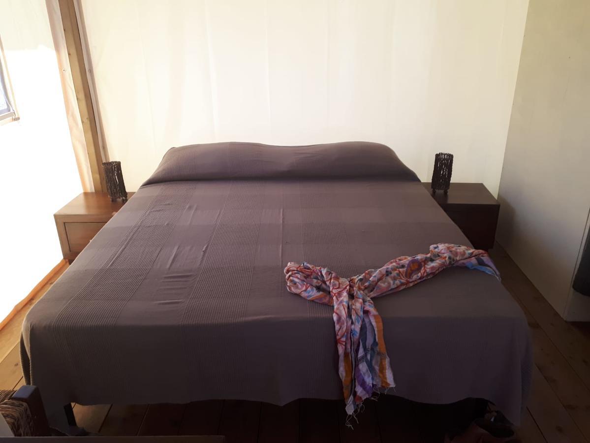 Camping Paradiso Viareggio Eksteriør bilde